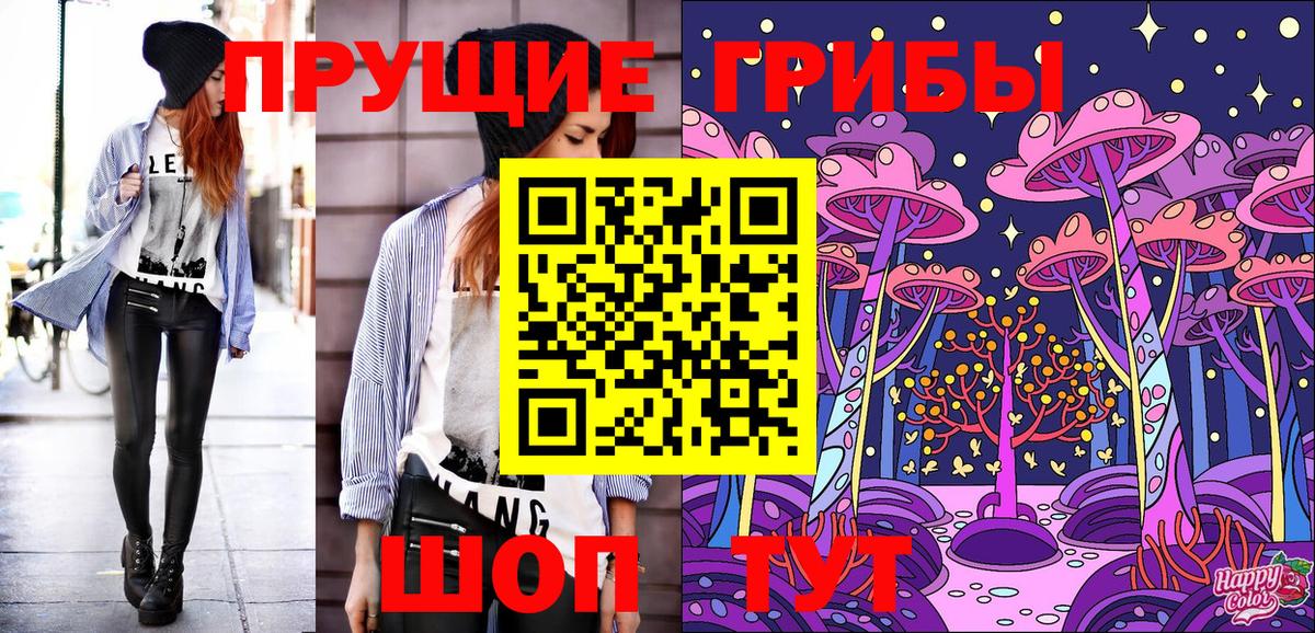 Псилоцибиновые грибы мицелий  Вход с VPN  где можно купить наркотик  Шали 